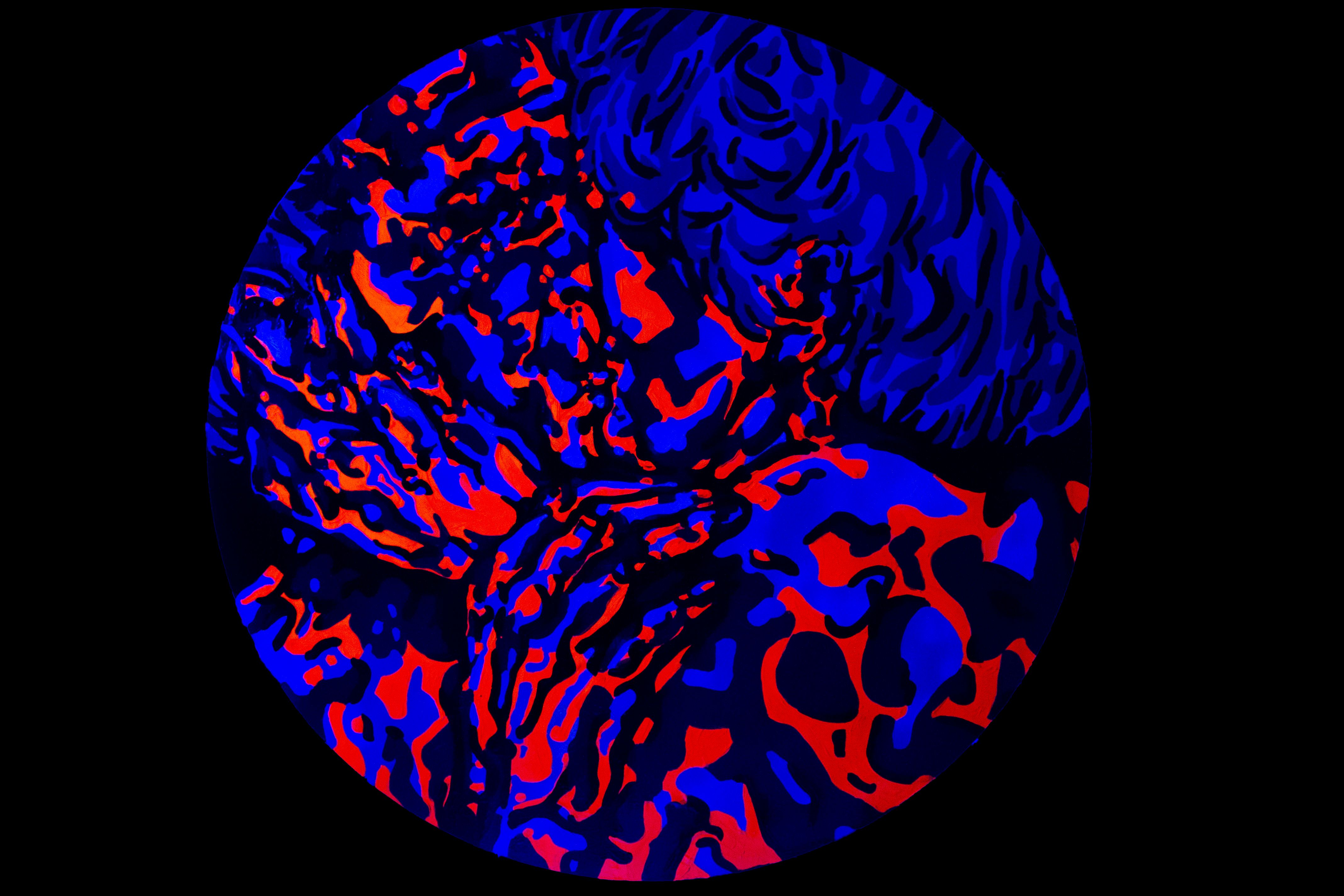anna vassena fluo.jpg